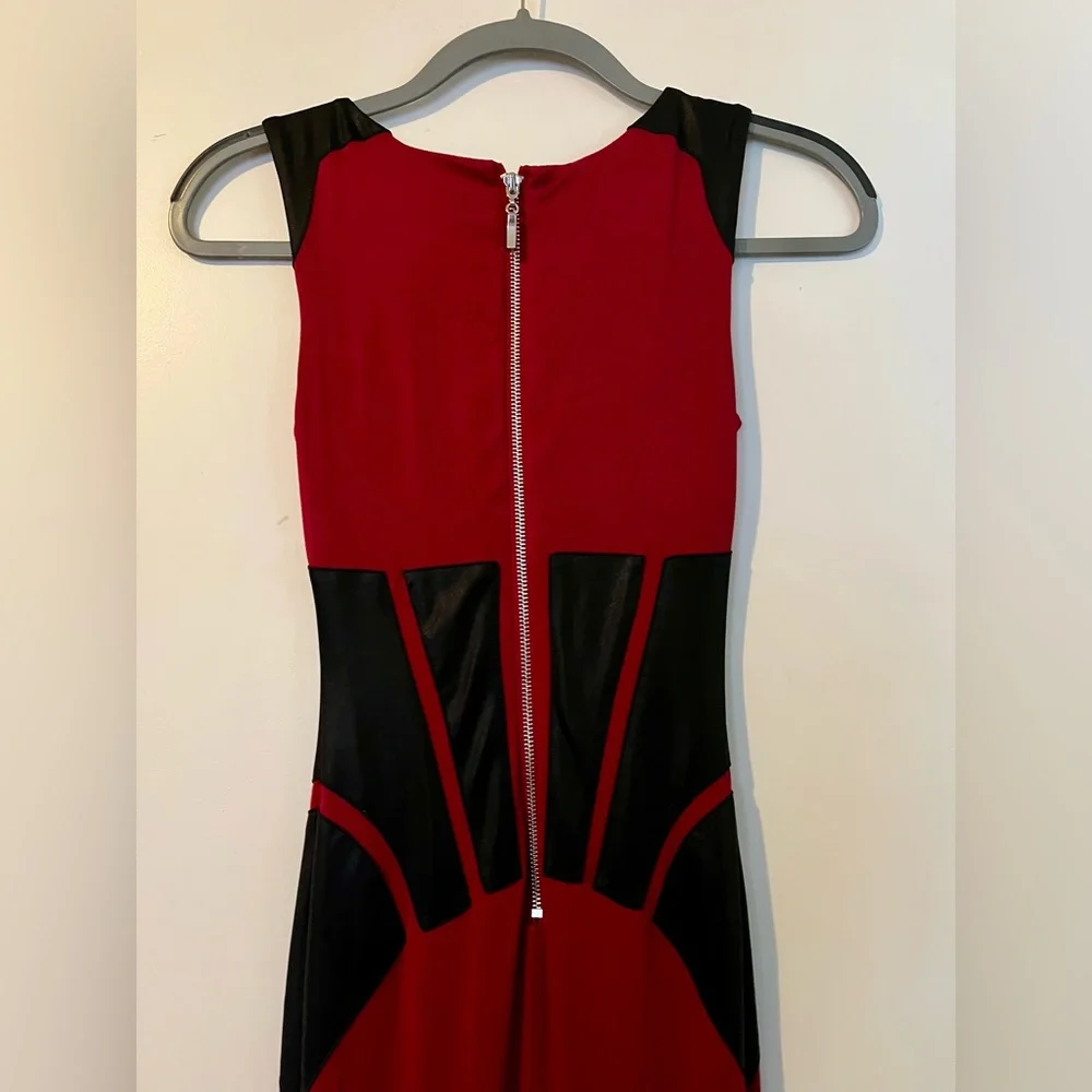 Bebe Dress - Picture 5 of 5